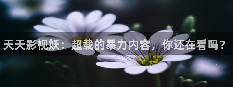 小小影视大全免费版