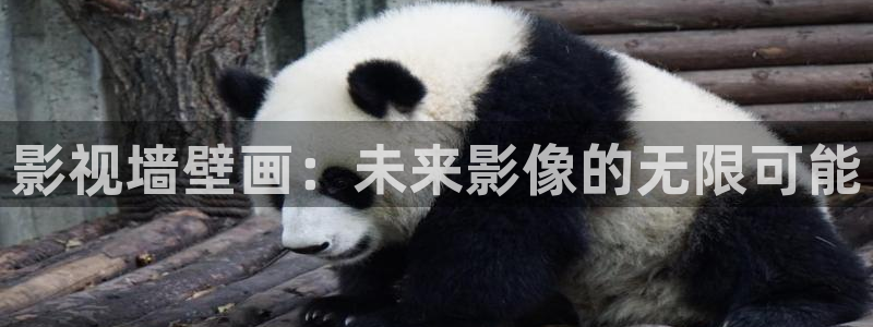 小小影院免费观看电视剧