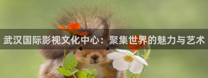 小小影视大全电视