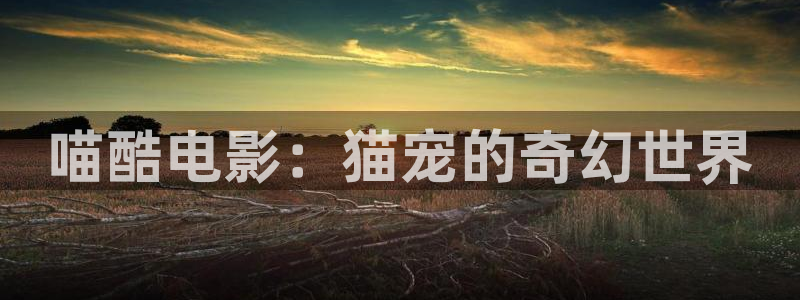 小小影视电视剧在线观看