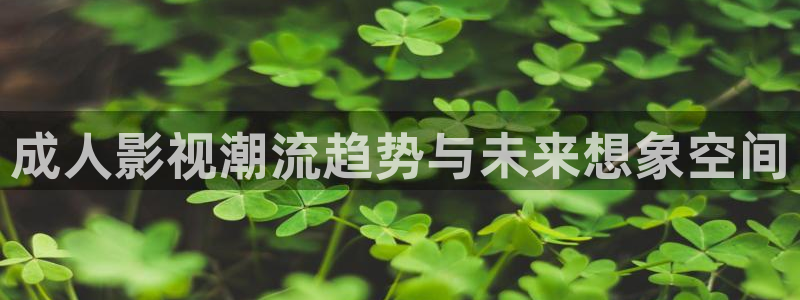 小小影视破解版