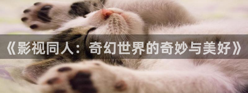 小小影视免费观看
