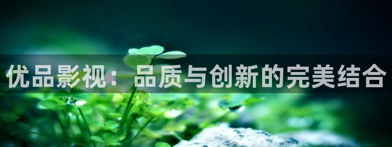 小小影视在线观看免费观看