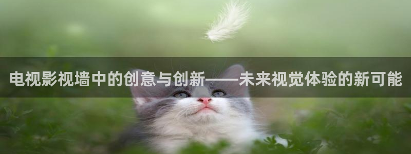 小小影视免费观看在线视频