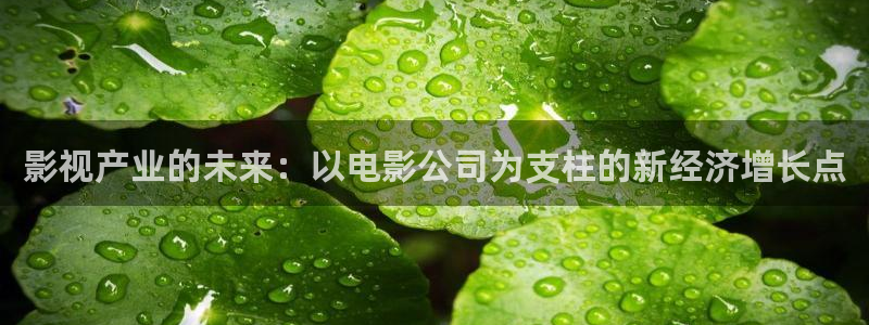 小小影视官网2024