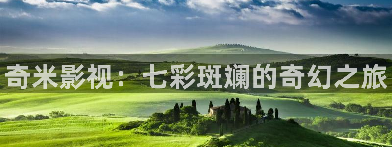 小小影视大全网页版